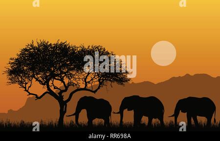 Abbildung: Silhouetten der Bergwelt des African Safari mit Baum, Gras und drei Elefanten. Unterhalb der Orange Sky mit der Sun-Vektor Stock Vektor