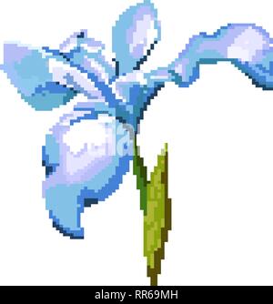 Iris auf einem weißen Hintergrund. Pixel Abbildung der Blüte. Stock Vektor