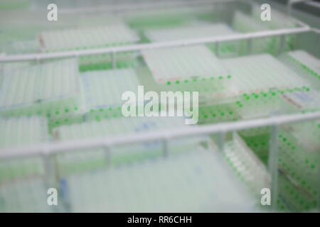Pflanzen-DNA Probe in wissenschaftlichen Biotechnologie biiology Labor Labor. blur Hintergrund Stockfoto