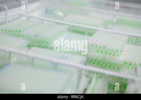Pflanzen-DNA Probe in wissenschaftlichen Biotechnologie biiology Labor Labor. blur Hintergrund Stockfoto