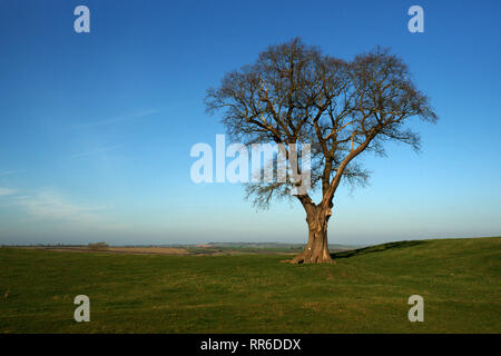 Brampton Asche Northamptonshire Stockfoto
