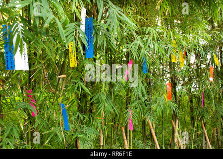 Reisende Leute verbinden und schreiben Wünsche auf Papier und auf Bambus Baum in Tanabata oder Star japanische Festival in Japan Dorf hängen am 8. Juli 2018 in Ay Stockfoto