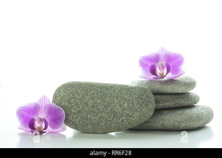 Zwei purple orchid Blossoms - man oben auf einem Stapel von drei grauen roundstones und die anderen neben einem Grauen roundstone-text-Raum Stockfoto