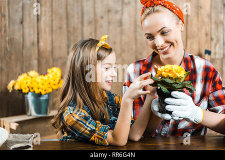 Fröhliche Zicklein am Topf mit Blumen in den Händen der glücklichen Mutter Stockfoto