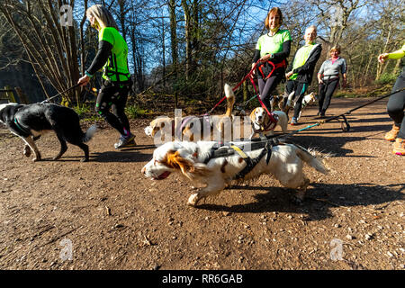 Nagshead finden mit Wald von Dean Canni Cross Club Stockfoto