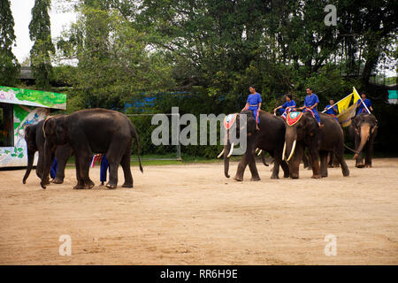 Elefant Thema Show für Thais und Reisende foriegner betrachten Samphran Elephant Boden und Crocodile Farm am 17. Juli 2018 in Nakhon Phatom, Stockfoto