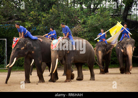 Elefant Thema Show für Thais und Reisende foriegner betrachten Samphran Elephant Boden und Crocodile Farm am 17. Juli 2018 in Nakhon Phatom, Stockfoto