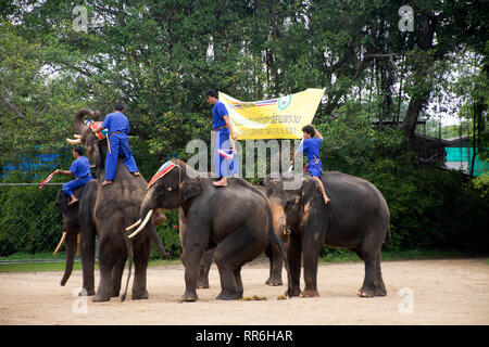 Elefant Thema Show für Thais und Reisende foriegner betrachten Samphran Elephant Boden und Crocodile Farm am 17. Juli 2018 in Nakhon Phatom, Stockfoto