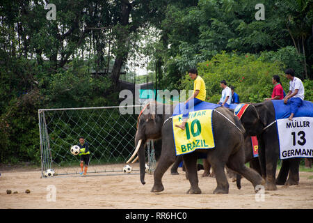 Elefant Thema Show für Thais und Reisende foriegner betrachten Samphran Elephant Boden und Crocodile Farm am 17. Juli 2018 in Nakhon Phatom, Stockfoto