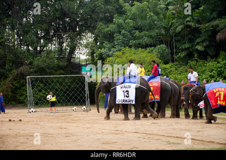 Elefant Thema Show für Thais und Reisende foriegner betrachten Samphran Elephant Boden und Crocodile Farm am 17. Juli 2018 in Nakhon Phatom, Stockfoto