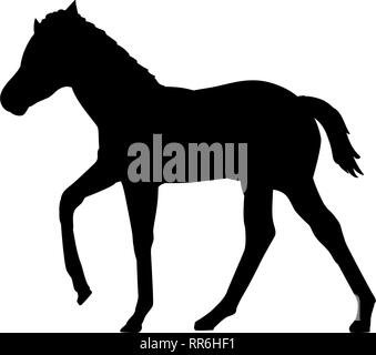 Fohlen horse farm Säugetier schwarze Silhouette Tier. Vektor Illustrator. Stock Vektor