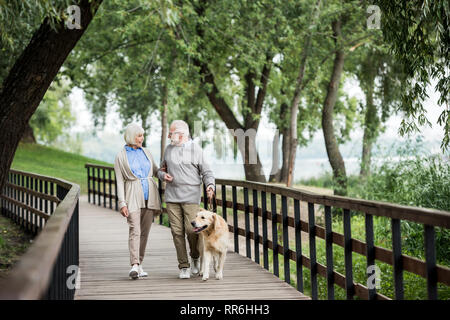 Senior Paar sprechen beim Wandern mit Hund im Park Stockfoto