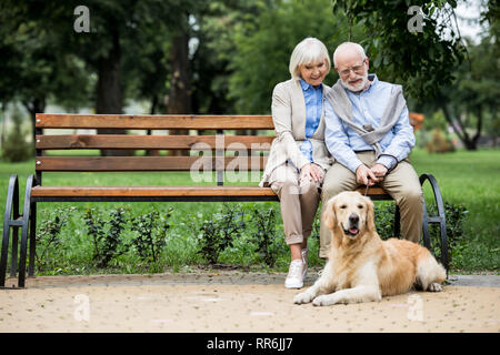 Schönes älteres Paar sitzt auf Holzbank und adorable Hund in der Nähe liegend auf gepflasterten Gehweg Stockfoto