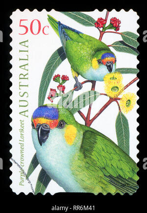 Australien - ca. 2005: einen Stempel in Australien gedruckten zeigt ein Bild von einem lila-gekrönten lorikeet, Serie, ca. 2005 Stockfoto