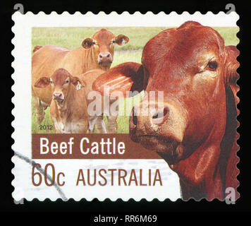 Australien - ca. 2012: Eine Briefmarke gedruckt in Australien gewidmet Landwirtschaft Australien zeigt Rinder, ca. 2012 Stockfoto