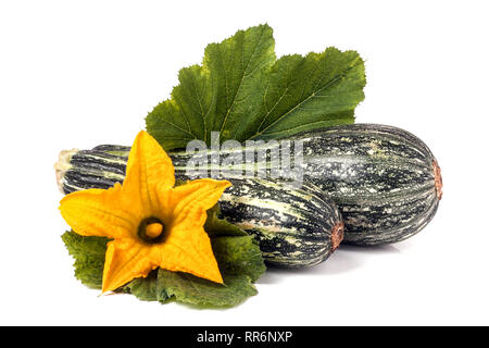 Zwei Zucchini mit Blatt und Blume auf weißem Hintergrund Stockfoto