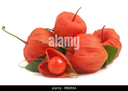 Haufen von Schale Tomaten oder Physalis mit Blatt auf weißem Hintergrund Stockfoto