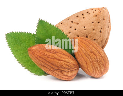 Mandeln in der Schale und mit Blatt auf weißem Hintergrund geschält Stockfoto