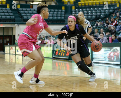 Williamsburg, VA, USA. 24 Feb, 2019. 20190224 - JMU guard LEXIE BARRIERE (15) dribbelt gegen William und Mary guard MISHA JONES (5) in der zweiten Hälfte bei Kaplan Arena in Williamsburg, Virginia Credit: Chuck Myers/ZUMA Draht/Alamy leben Nachrichten Stockfoto