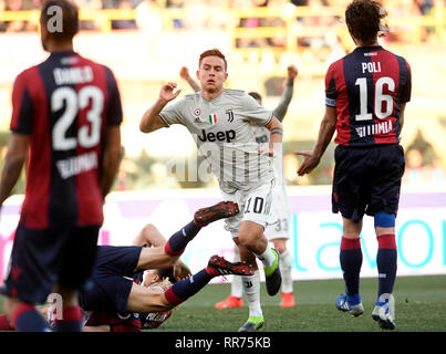 Bologna, Italien. 24 Feb, 2019. Juventus Paulo Dybala (C) feiert sein Ziel während einer Serie ein Fußballspiel zwischen Bologna und FC Juventus in Bologna, Italien, 24.02.2019. FC Juventus Turin gewann 1:0. Credit: Augusto Casasoli/Xinhua/Alamy leben Nachrichten Stockfoto