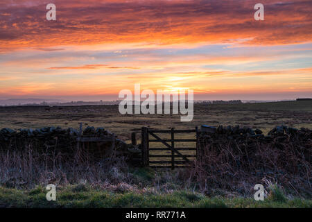Teesdale, County Durham, UK. Montag, 25. Februar 2019. UK Wetter. Einen spektakulären Sonnenaufgang boten einen anderen Tag der ungewöhnlich warmen Wetter im Norden von England. Quelle: David Forster/Alamy leben Nachrichten Stockfoto