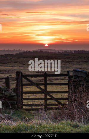 Teesdale, County Durham, UK. Montag, 25. Februar 2019. UK Wetter. Einen spektakulären Sonnenaufgang boten einen anderen Tag der ungewöhnlich warmen Wetter im Norden von England. Quelle: David Forster/Alamy leben Nachrichten Stockfoto
