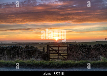 Teesdale, County Durham, UK. Montag, 25. Februar 2019. UK Wetter. Einen spektakulären Sonnenaufgang boten einen anderen Tag der ungewöhnlich warmen Wetter im Norden von England. Quelle: David Forster/Alamy leben Nachrichten Stockfoto