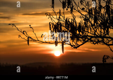 Teesdale, County Durham, UK. Montag, 25. Februar 2019. UK Wetter. Einen spektakulären Sonnenaufgang boten einen anderen Tag der ungewöhnlich warmen Wetter im Norden von England. Quelle: David Forster/Alamy leben Nachrichten Stockfoto