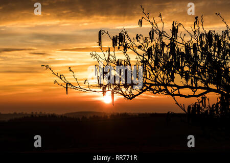 Teesdale, County Durham, UK. Montag, 25. Februar 2019. UK Wetter. Einen spektakulären Sonnenaufgang boten einen anderen Tag der ungewöhnlich warmen Wetter im Norden von England. Quelle: David Forster/Alamy leben Nachrichten Stockfoto