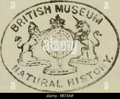 . Abhandlungen der Königlich Bayerischen Akademie, Christian. . Bitte beachten Sie, dass diese Bilder sind von der gescannten Seite Bilder, die digital für die Lesbarkeit verbessert haben mögen - Färbung und Aussehen dieser Abbildungen können nicht perfekt dem Original ähneln. extrahiert. Königlich Bayerische Akademie, Christian. Stockfoto