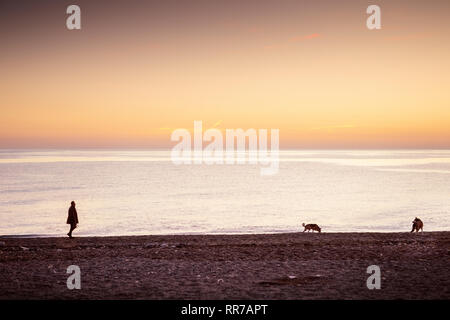 Silhouette der Mann seine Hunde againts die untergehende Sonne am Strand in Almunecar Spanien Stockfoto