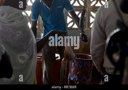 Fischhändler shop in Ngaparou, eine kleine Küstengemeinde in der Petite Cote von Senegal Stockfoto