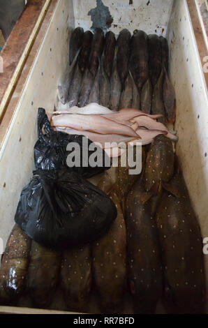 Fischhändler shop in Ngaparou, eine kleine Küstengemeinde in der Petite Cote von Senegal Stockfoto