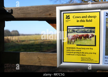 Allgemeine Ansichten von der Bepflanzung und ein 'MÜ-hedging' Ereignis zu helfen, Tiere, Häuser auf dem slindon Immobilien, Sussex, UK. Stockfoto