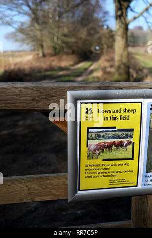 Allgemeine Ansichten von der Bepflanzung und ein 'MÜ-hedging' Ereignis zu helfen, Tiere, Häuser auf dem slindon Immobilien, Sussex, UK. Stockfoto