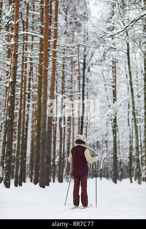 Rückansicht der Mensch Skifahren im Wald Stockfoto