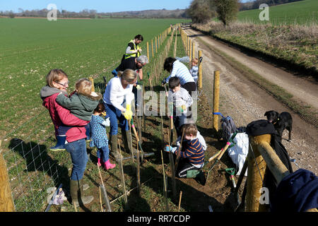 Allgemeine Ansichten von der Bepflanzung und ein 'MÜ-hedging' Ereignis zu helfen, Tiere, Häuser auf dem slindon Immobilien, Sussex, UK. Stockfoto