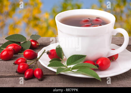 Tasse Tee hagebutte Beeren auf einem dunklen Hintergrund Stockfoto