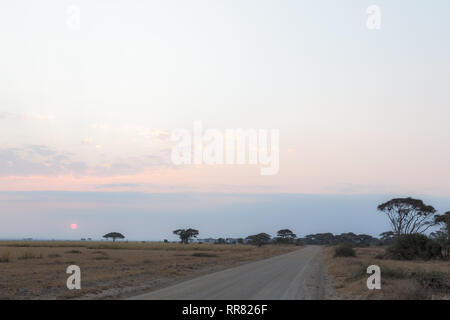 Sonnenuntergang. Landschaft in der Savanne Amboseli. Kenia, Afrika (Rev. 2) Stockfoto