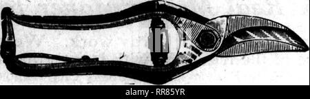 . Floristen Review [microform]. Blumenzucht. 132 Die Floristen Bewertung Oktober 26, 1922 Männer zu geben so viele Informationen wie möglich in Bezug auf die Bepflanzung und die Kultur der Bäume und Sträucher, die Sie verkaufen. Sie müssen die Käufer der Aktien in einer angemessenen Pflege zu beauftragen und Ihnen zeigen, wie Sie die Bestände zu schützen vor den verheerenden Folgen von Krankheiten und Schädlinge, die fast sicher sind, angetroffen werden. In Verbindung mit der Bewegung en-Mut die Anpflanzung von Bäumen, Sträuchern und Blumen, die Baumschulen haben auch eine Kampagne der edu-kation und einen Clip Blatt pre-Pared whi Stockfoto