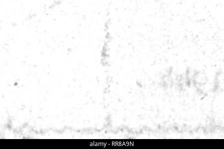 . Outlook Illinois Landwirte Brief [microform]. Landwirtschaft - - Illinois; Landwirtschaft - - Wirtschaftliche Aspekte von Illinois. ;:. Ich. V - 1 •? •? ?." J: fiA", '.'? '^i?m-". iZ^. Bitte beachten Sie, dass diese Bilder sind von der gescannten Seite Bilder, die digital für die Lesbarkeit verbessert haben mögen - Färbung und Aussehen dieser Abbildungen können nicht perfekt dem Original ähneln. extrahiert. Universität von Illinois in Urbana-Champaign. Cooperative Extension Service in der Landwirtschaft und Hauswirtschaft; Universität von Illinois (Urbana-Champaign Campus). Abt. für Agrarökonomie, Universität Stockfoto