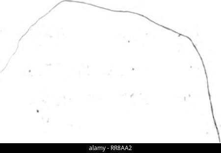 . Outlook Illinois Landwirte Brief [microform]. Landwirtschaft - - Illinois; Landwirtschaft - - Wirtschaftliche Aspekte von Illinois. - 7 • e. 1. /;" •. Ich? &Gt; t A m. Bitte beachten Sie, dass diese Bilder sind von der gescannten Seite Bilder, die digital für die Lesbarkeit verbessert haben mögen - Färbung und Aussehen dieser Abbildungen können nicht perfekt dem Original ähneln. extrahiert. Universität von Illinois in Urbana-Champaign. Cooperative Extension Service in der Landwirtschaft und Hauswirtschaft; Universität von Illinois (Urbana-Champaign Campus). Abt. für Agrarökonomie, Universität von Illinois (Urbana-C Stockfoto