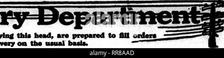 . Floristen Review [microform]. Blumenzucht. OcTOBiB 6, 1922 TIic Floristen Review 81. Bitte beachten Sie, dass diese Bilder sind von der gescannten Seite Bilder, die digital für die Lesbarkeit verbessert haben mögen - Färbung und Aussehen dieser Abbildungen können nicht perfekt dem Original ähneln. extrahiert. Chicago: Floristen Pub. Co Stockfoto