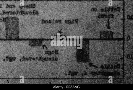 . Outlook Illinois Landwirte Brief [microform]. Landwirtschaft - - Illinois; Landwirtschaft - - Wirtschaftliche Aspekte Illinois. itMk^-X-am-^t^ iiwnwn *Mi * '''w' * 'w ^-^" •^^ •". ' € iitt itttti iiitfi ttttii ^^^^^^^^^^^^^^ tfiiiim M^. Bitte beachten Sie, dass diese Bilder sind von der gescannten Seite Bilder, die digital für die Lesbarkeit verbessert haben mögen - Färbung und Aussehen dieser Abbildungen können nicht perfekt dem Original ähneln. extrahiert. Universität von Illinois in Urbana-Champaign. Cooperative Extension Service in der Landwirtschaft und Hauswirtschaft; Universität von Illinois (Urbana-Champaign Campus). Abt. Stockfoto