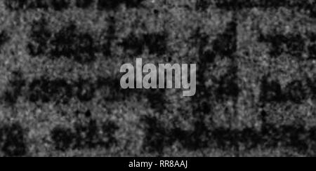 . Outlook Illinois Landwirte Brief [microform]. Landwirtschaft - - Illinois; Landwirtschaft - - Wirtschaftliche Aspekte von Illinois. "^^^. m '^'^'^^ Cw - '^' '^: ^y^^'H^S. itMk^-X-am-^t^ iiwnwn *Mi * '''w' * 'w ^-^" •^^ •". Bitte beachten Sie, dass diese Bilder sind von der gescannten Seite Bilder, die digital für die Lesbarkeit verbessert haben mögen - Färbung und Aussehen dieser Abbildungen können nicht perfekt dem Original ähneln. extrahiert. Universität von Illinois in Urbana-Champaign. Cooperative Extension Service in der Landwirtschaft und Hauswirtschaft; Universität von Illinois (Urbana-Champaign Campus). Abt. der Agr Stockfoto