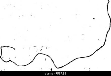 . Outlook Illinois Landwirte Brief [microform]. Landwirtschaft - - Illinois; Landwirtschaft - - Wirtschaftliche Aspekte von Illinois. 71: 0V • r t o? • •: F:&gt;? • Ich.-------&gt;': V: - -: "^. .. ^. Bitte beachten Sie, dass diese Bilder sind von der gescannten Seite Bilder, die digital für die Lesbarkeit verbessert haben mögen - Färbung und Aussehen dieser Abbildungen können nicht perfekt dem Original ähneln. extrahiert. Universität von Illinois in Urbana-Champaign. Cooperative Extension Service in der Landwirtschaft und Hauswirtschaft; Universität von Illinois (Urbana-Champaign Campus). Abt. für Agrarökonomie, Universität Stockfoto