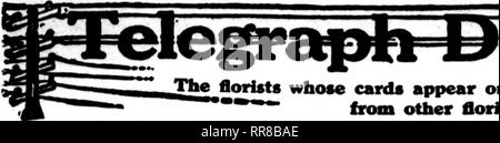 . Floristen Review [microform]. Blumenzucht. November 30, 1922 Die Floristen^ Review 105. Bitte beachten Sie, dass diese Bilder sind von der gescannten Seite Bilder, die digital für die Lesbarkeit verbessert haben mögen - Färbung und Aussehen dieser Abbildungen können nicht perfekt dem Original ähneln. extrahiert. Chicago: Floristen Pub. Co Stockfoto