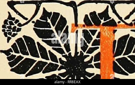 "Kleine Reisen zu den Häusern der großen Reformatoren.." (1907) Stockfoto