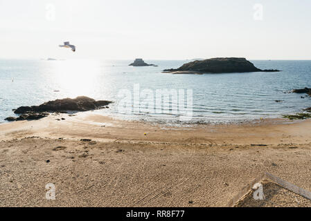 Möwe über dem leeren Strand von Saint Malo bei Sonnenuntergang fliegen. Bretagne, Frankreich Stockfoto