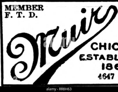 . Floristen Review [microform]. Blumenzucht. LOOP FIOWERSHOP Zweig. EVANSTON, Illinois Blumen für alle Anlässe Tel. Seeblick 1121 3912 North Clark St., CHICAGO Chicago" = "°J&amp;^ LOR-IST-Fhene Graeataad 1 S 21 8 M Uoeofai ein 'MITGLIED F. T. D. Elgin, Illinois. "?" ^^^^^ GEORGE SOUSTER ployed und Bedingungen sind mehr als günstig für das Einpflanzen und Transplantation - ing Lager aller Art. E. A. Denver, Colo. Der Markt. Liefer- Geschäft ist zu verbessern. Rosen, von denen gibt es eine gute Versorgung von guter Qualität, sind schön bewegt sich nur geringfügig unter der reguläre Preise Winter. Das Wetter, das t Stockfoto